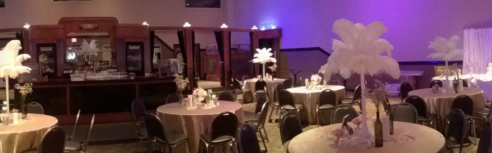 Rent Ostrich Feather And Led Branch Centerpiece In Dallas Austin